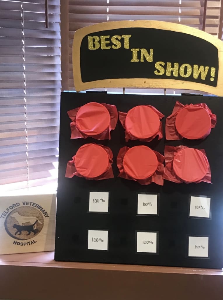 In an interactive game modeled after The Price is Right, pet owners remove red paper on a poster board to reveal their dog's breed ancestry.